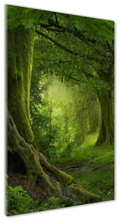 Tablou pe pe sticlă Jungla tropicala