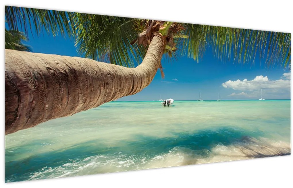 Tablou - Mare curată cu palmier (120x50 cm)