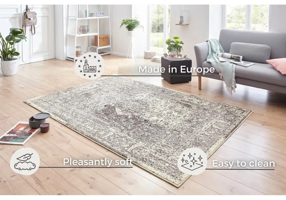 Covor Hanse Home Celebration Plume, 120x170 cm, gri-crem