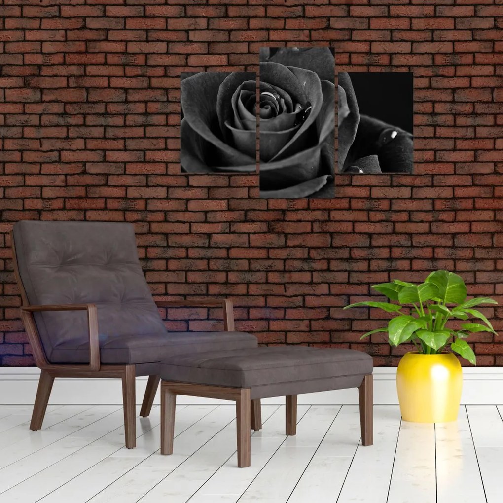 Tablou - Trandafir roșu aprins (90x60 cm)