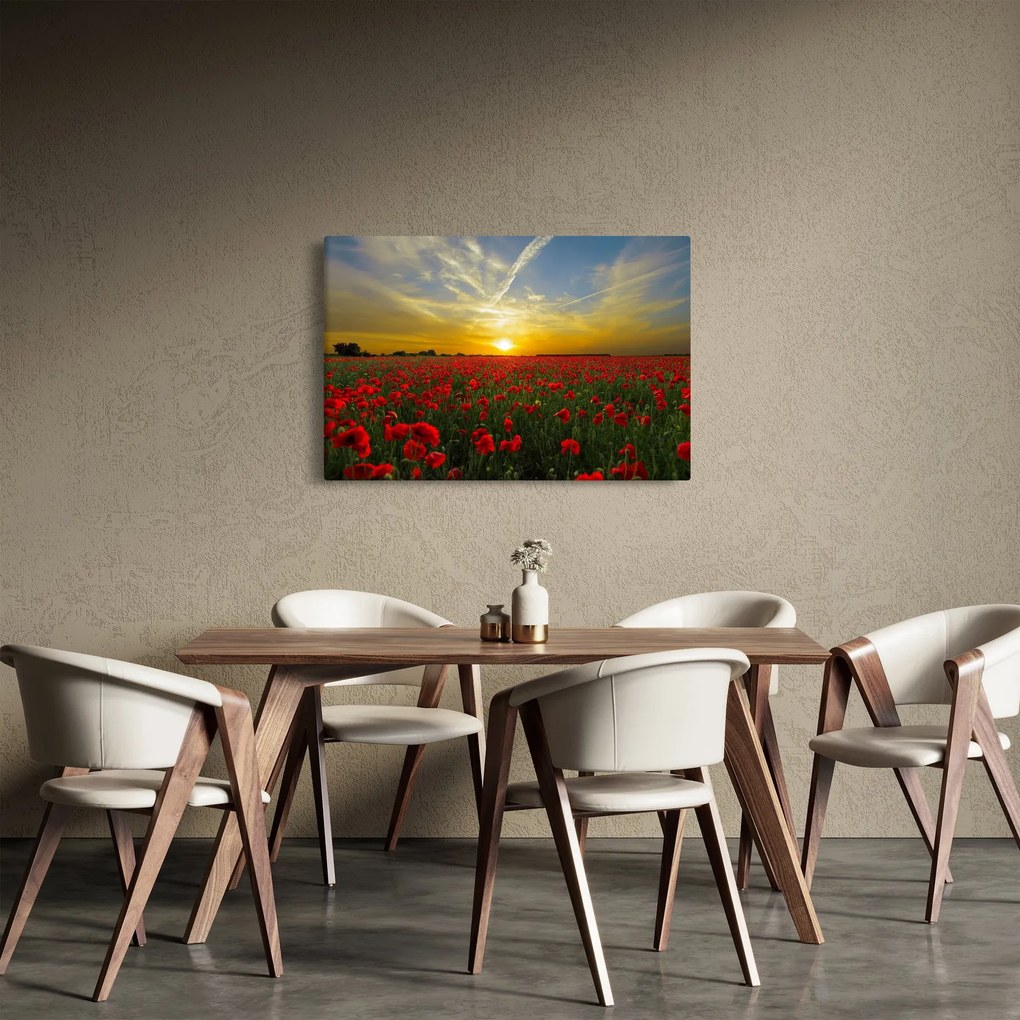 Tablou cu câmp cu maci (90x60 cm)