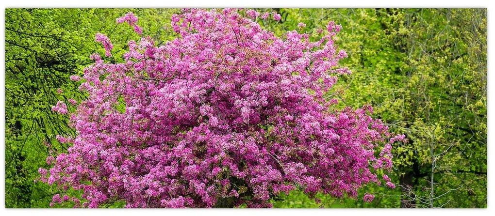 Tablou cu pom înflorit pe luncă (120x50 cm)