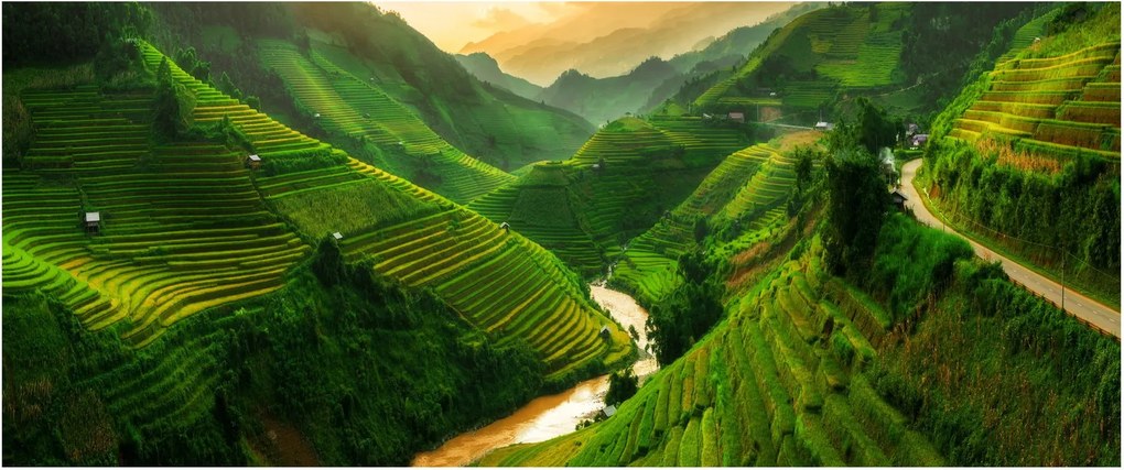 Tablou - Terase de orez Mu Cang Chai (120x50 cm)