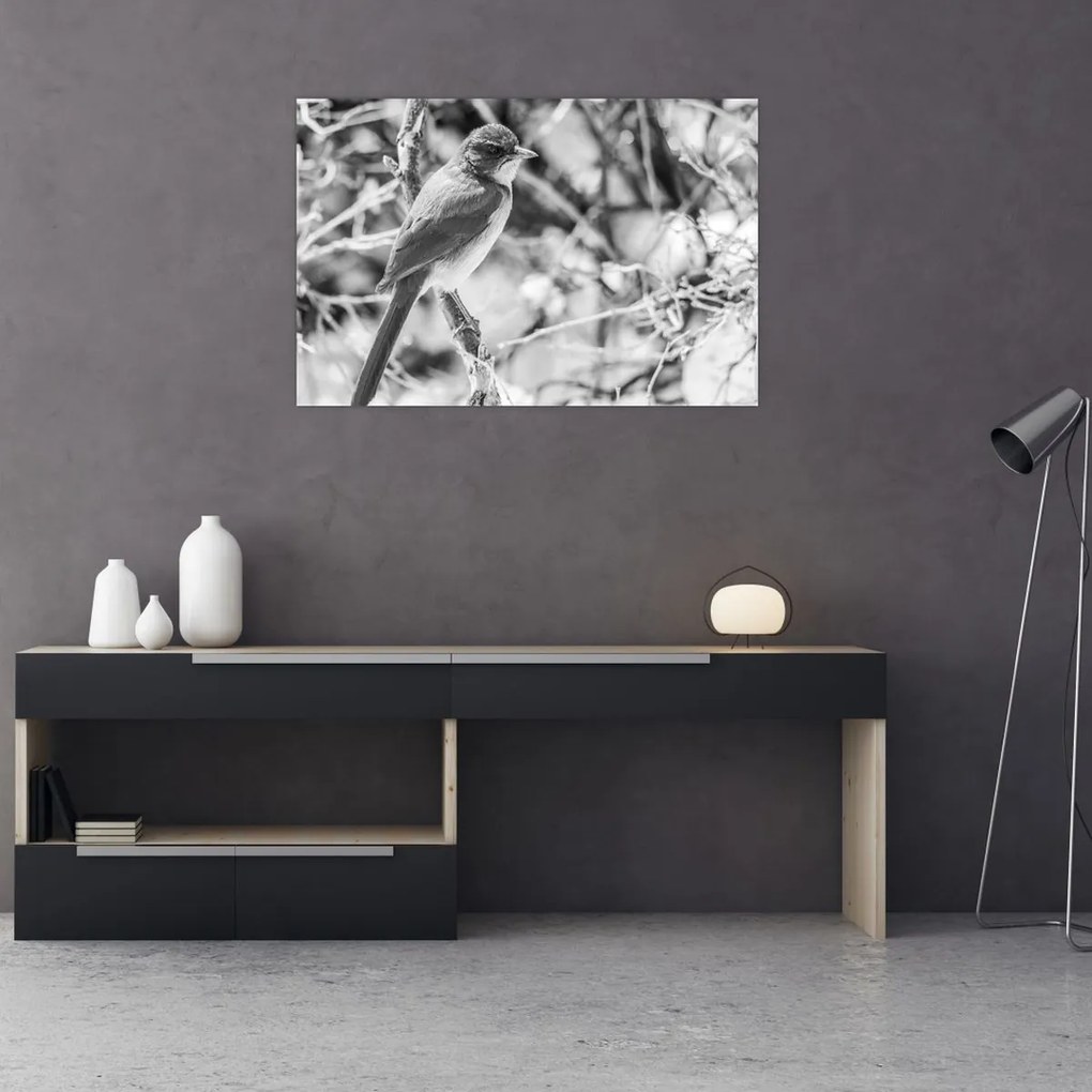 Tablou - Bluebird în timpul iernii (90x60 cm)