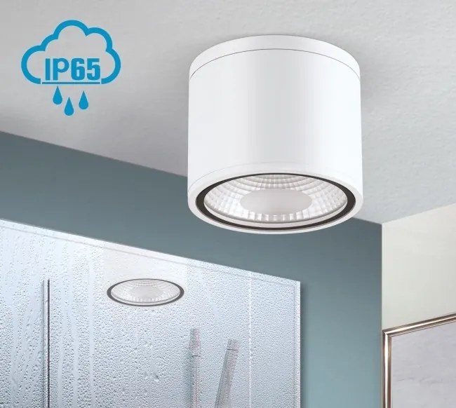 Spot LED aplicat cu protectie la umiditate IP65, SPUTNIK 14,5cm, alb