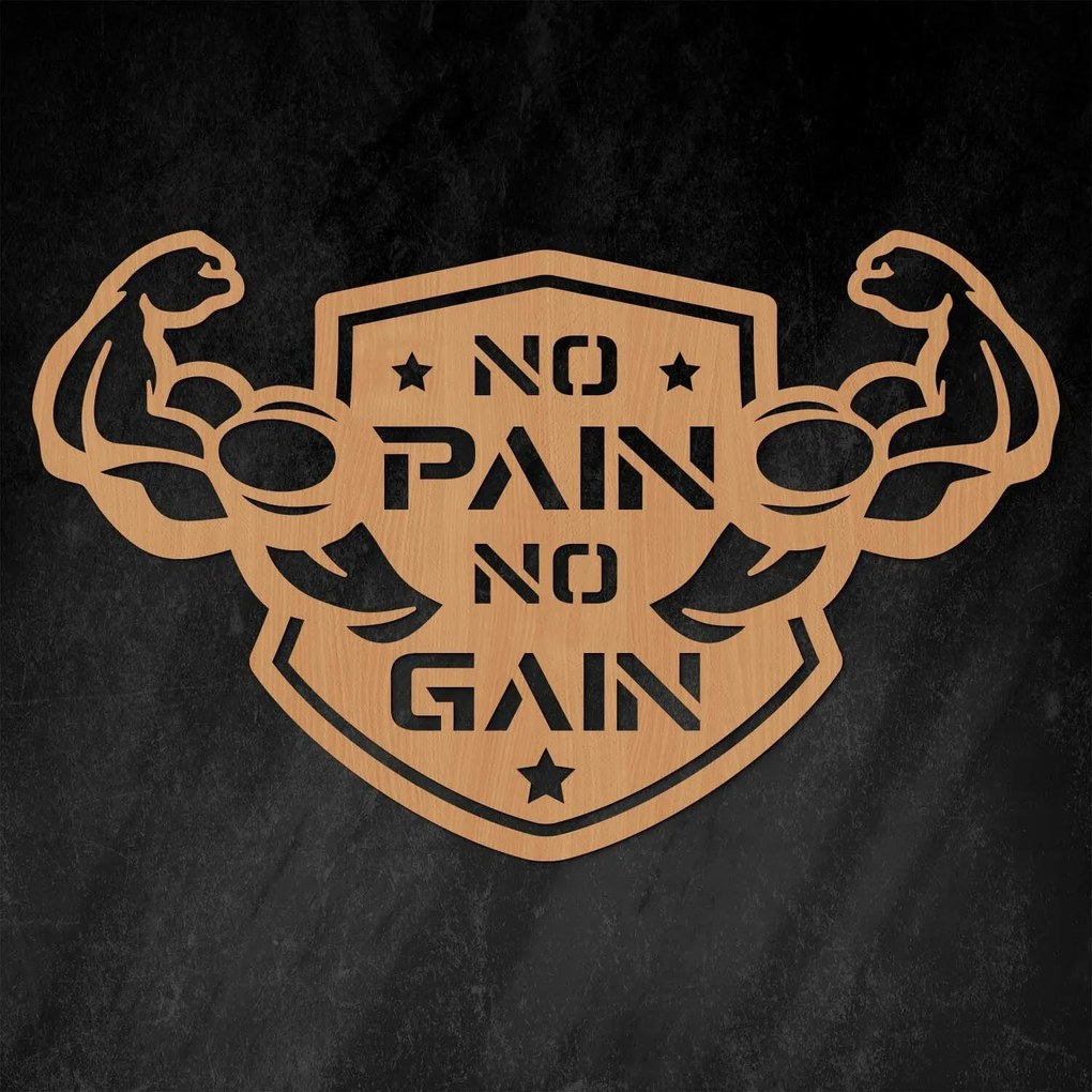 DUBLEZ | Tablou motivațional - No Pain No Gain