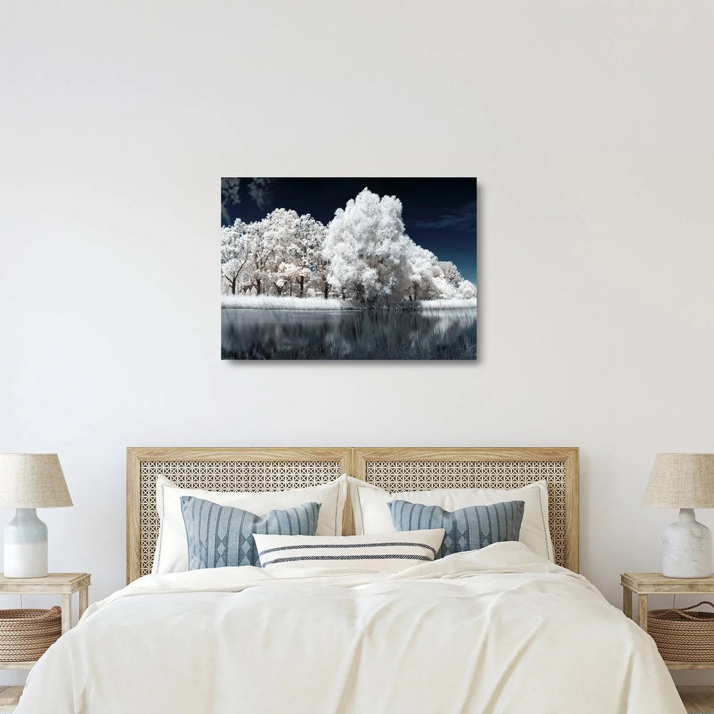 Tablou pe sticlă - Albă ca Zăpada Albă ca Zăpada Copaci (70x50 cm)