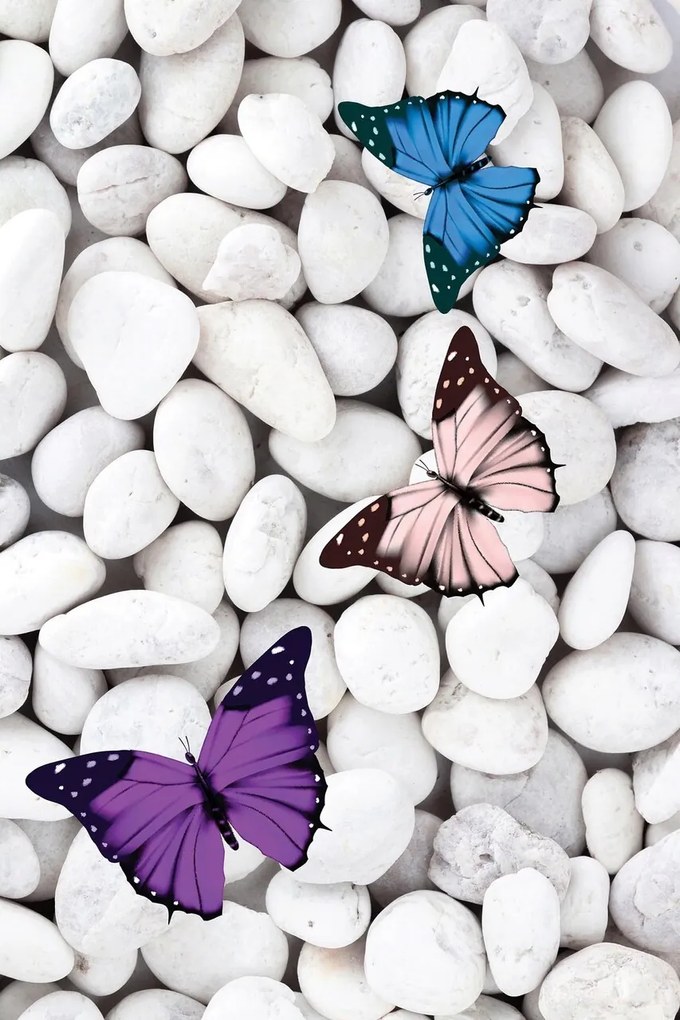 Covor, HMNT530, 100x150 cm, Multicolor