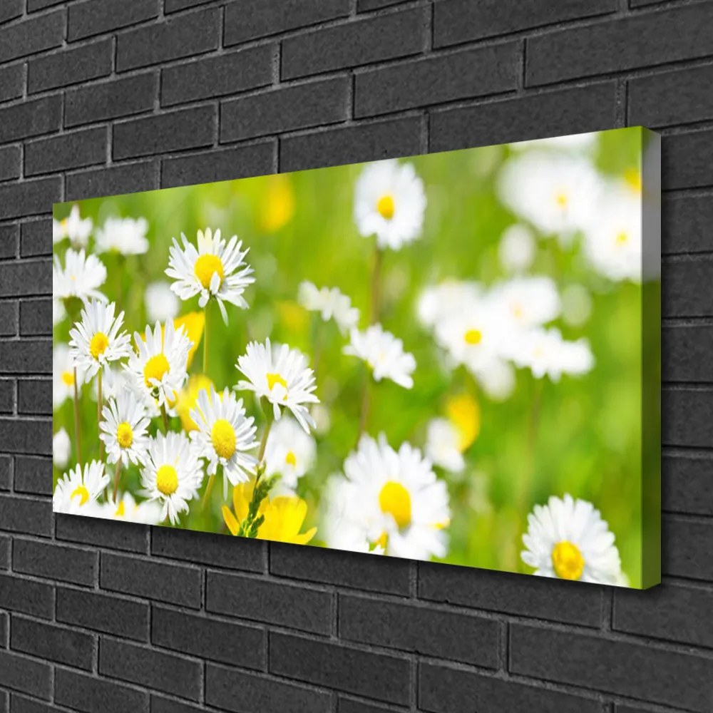 Tablou pe panza canvas Daisy Floral Galben Alb