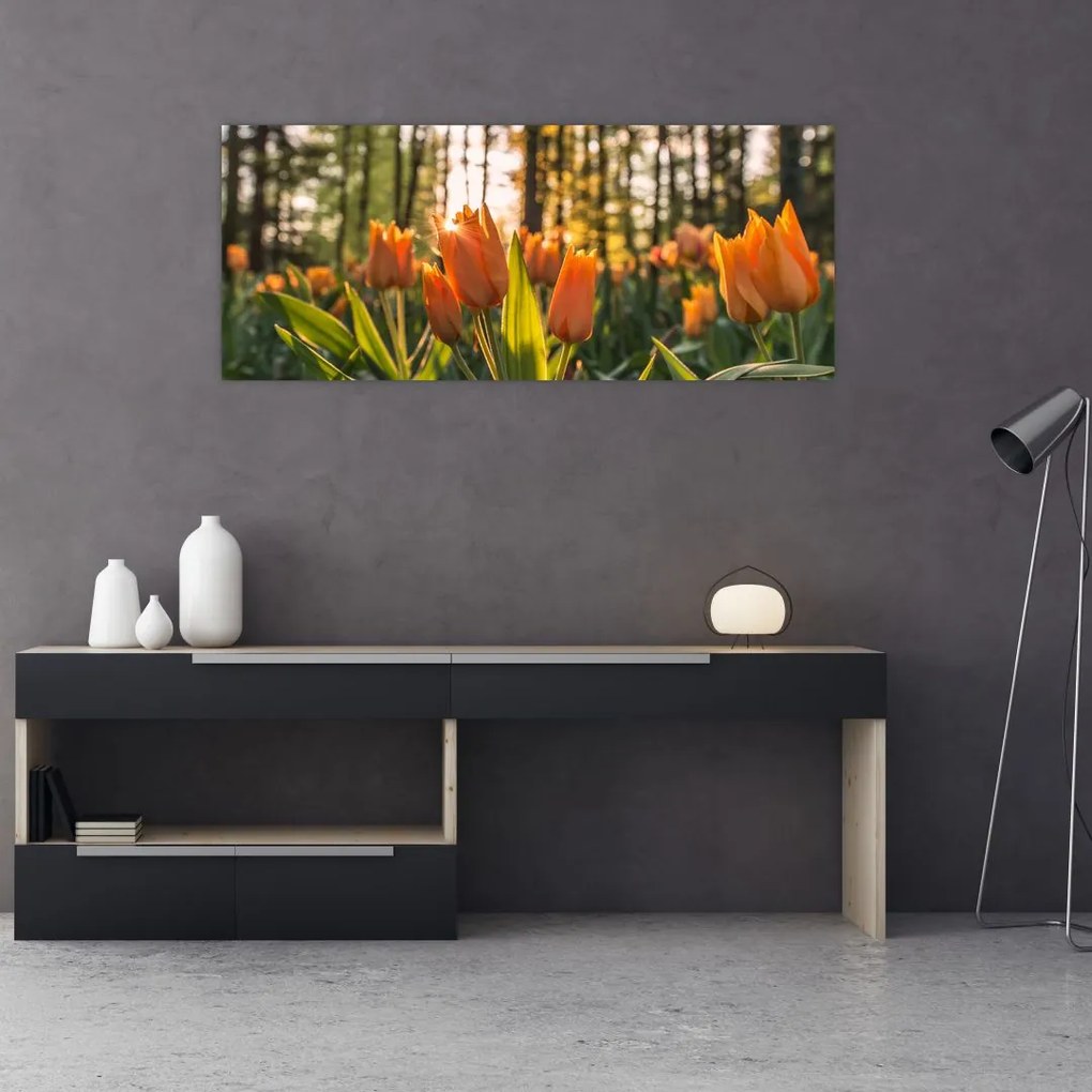 Tablou - florile lalelelor (120x50 cm)