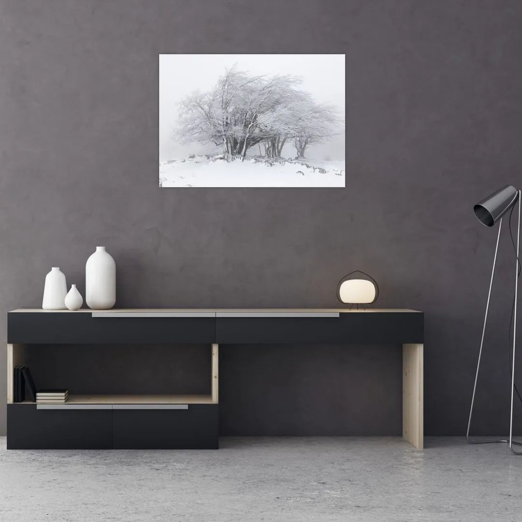 Tablou - Iarnă albă (70x50 cm)
