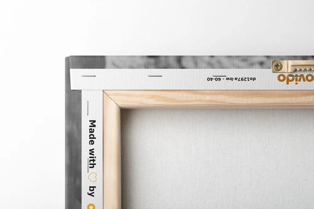 Tablou trandafir vintage în design alb-negru