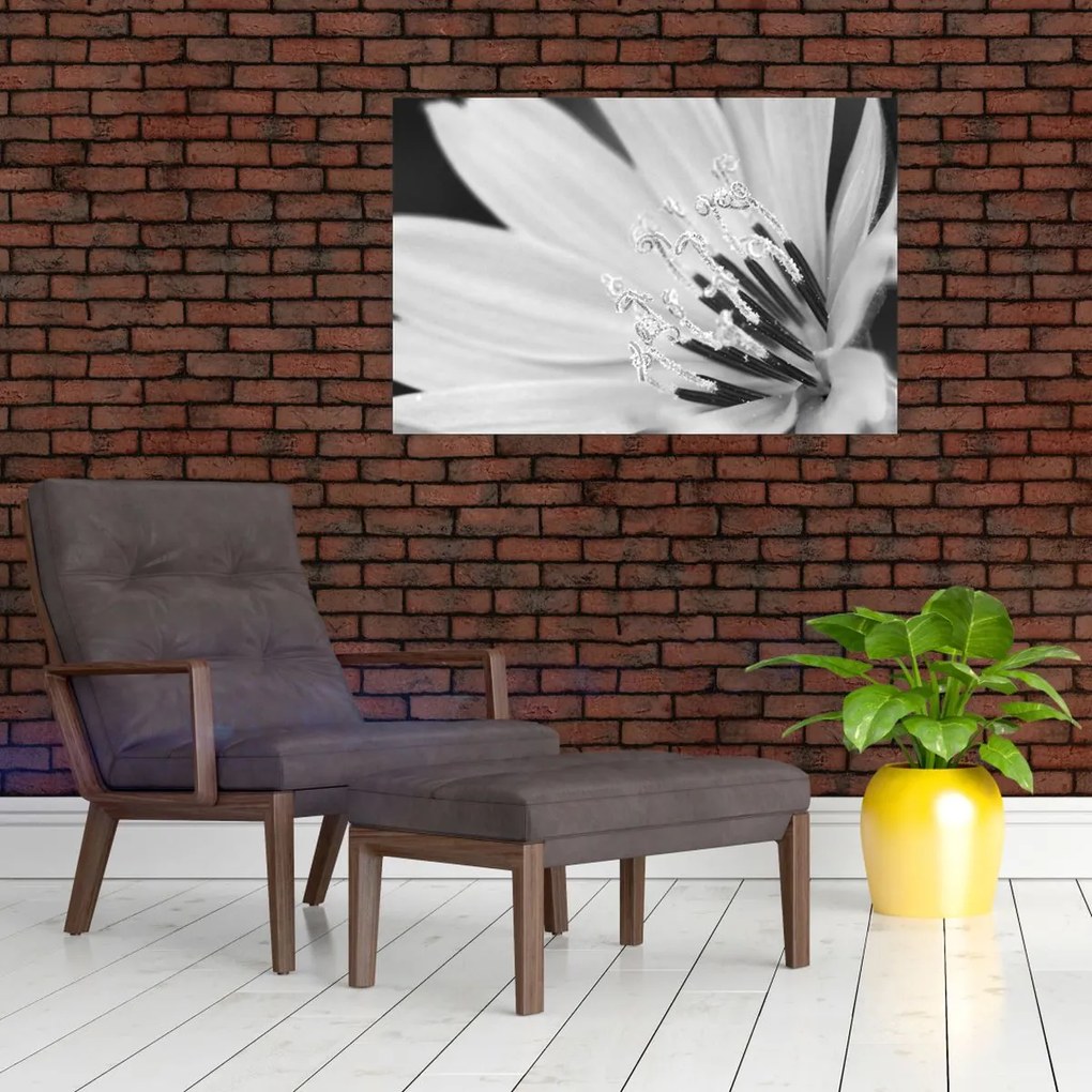 Tablou - Floare albă și neagră (90x60 cm)