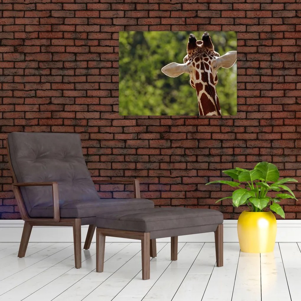 Tablou pe sticlă cu girafă din spate (70x50 cm)
