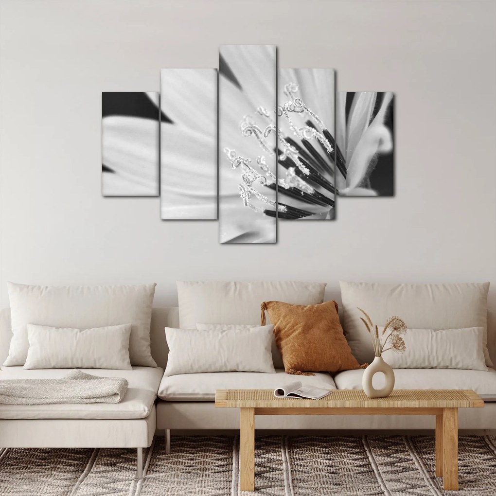Tablou - Floare albă și neagră (150x105 cm)