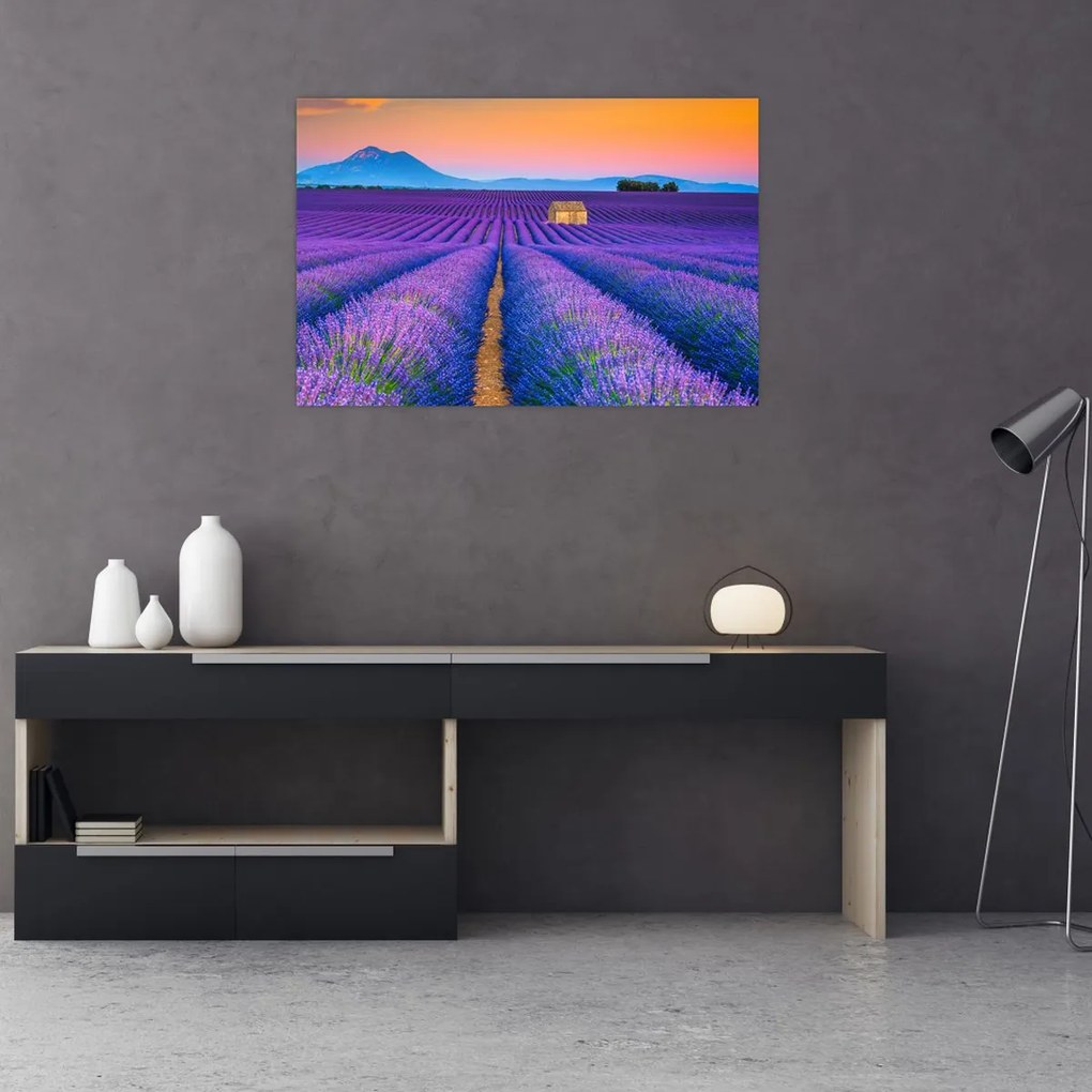 Tablou - Câmp de levănțica (90x60 cm)