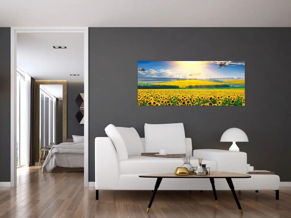 Tablou - Câmp cu floarea soarelui (120x50 cm)