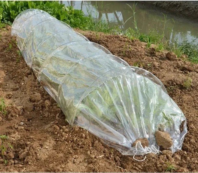 Seră tip tunel 300 x 65 x 45 cm albă