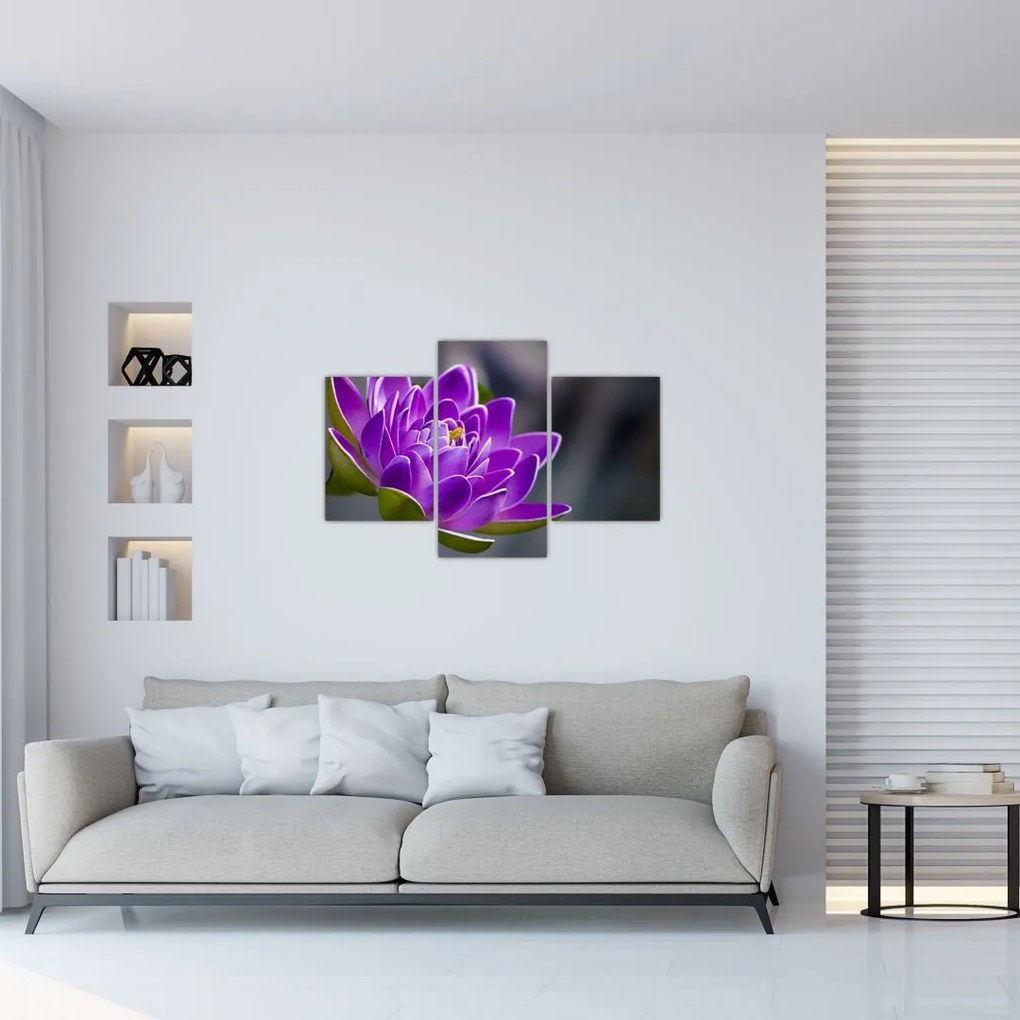 Tablou floarei (90x60 cm)