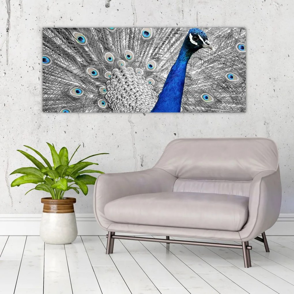 Tablou - păun albastru (120x50 cm)