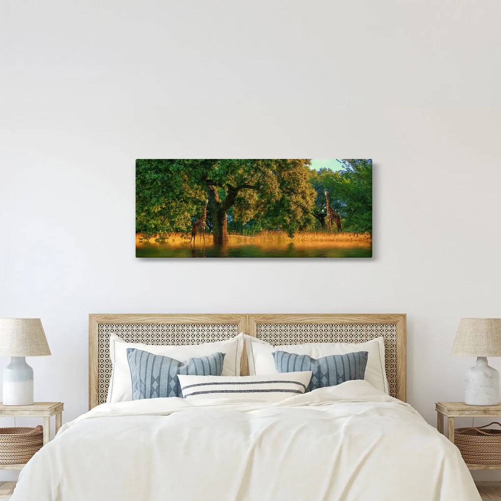 Tablou cu girafe în natură (120x50 cm)