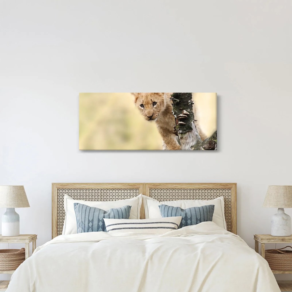 Tablou cu pui de leu (120x50 cm)