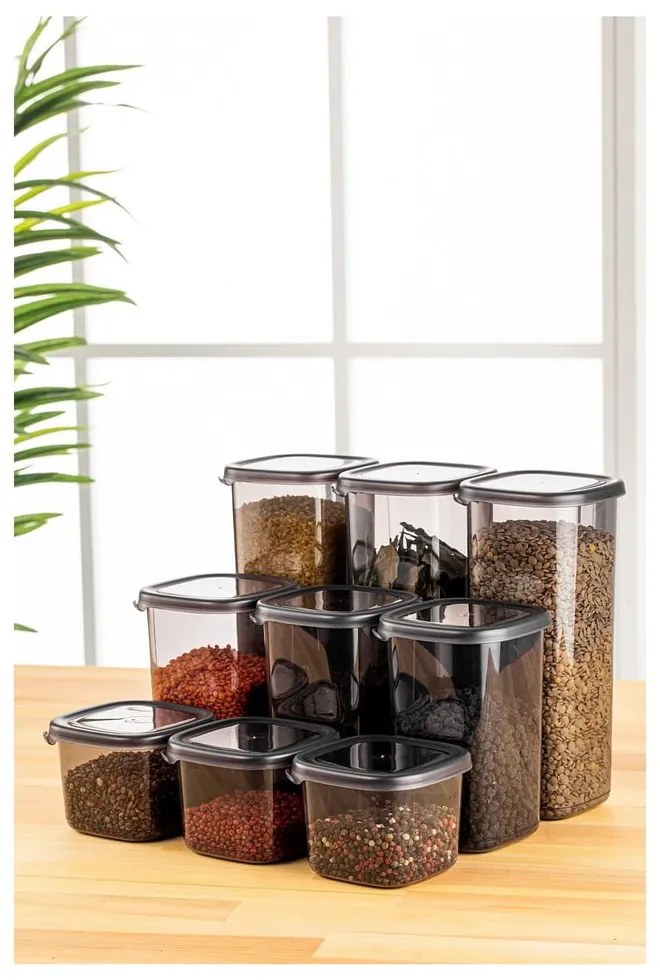 Recipiente 9 buc. pentru alimente – Hermia