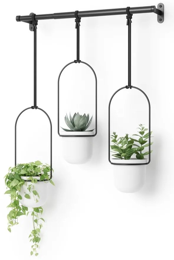 Ghivece decorative 3 buc. din plastic pentru ierburi aromatice/de agățat / de perete ø 7,5 cm Triflora – Umbra