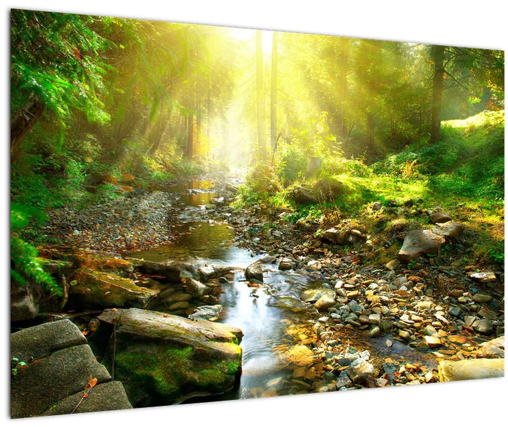 Tablou cu râul în pădurea verde (90x60 cm)