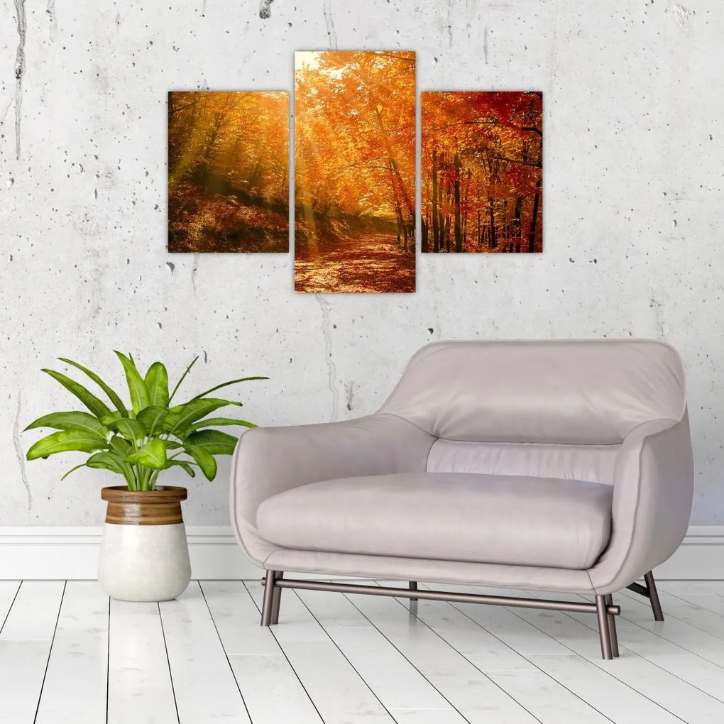 Tablou cu pădurea în toamnă (90x60 cm)