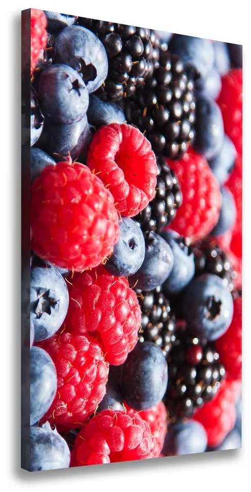 Print pe canvas Fructe de padure