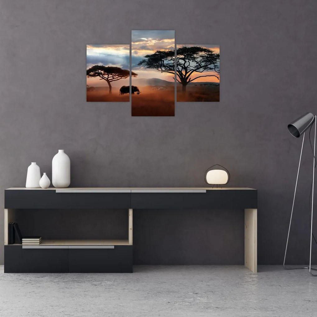 Tablou - Parcul Național Serengeti, Tanzania, Africa (90x60 cm)