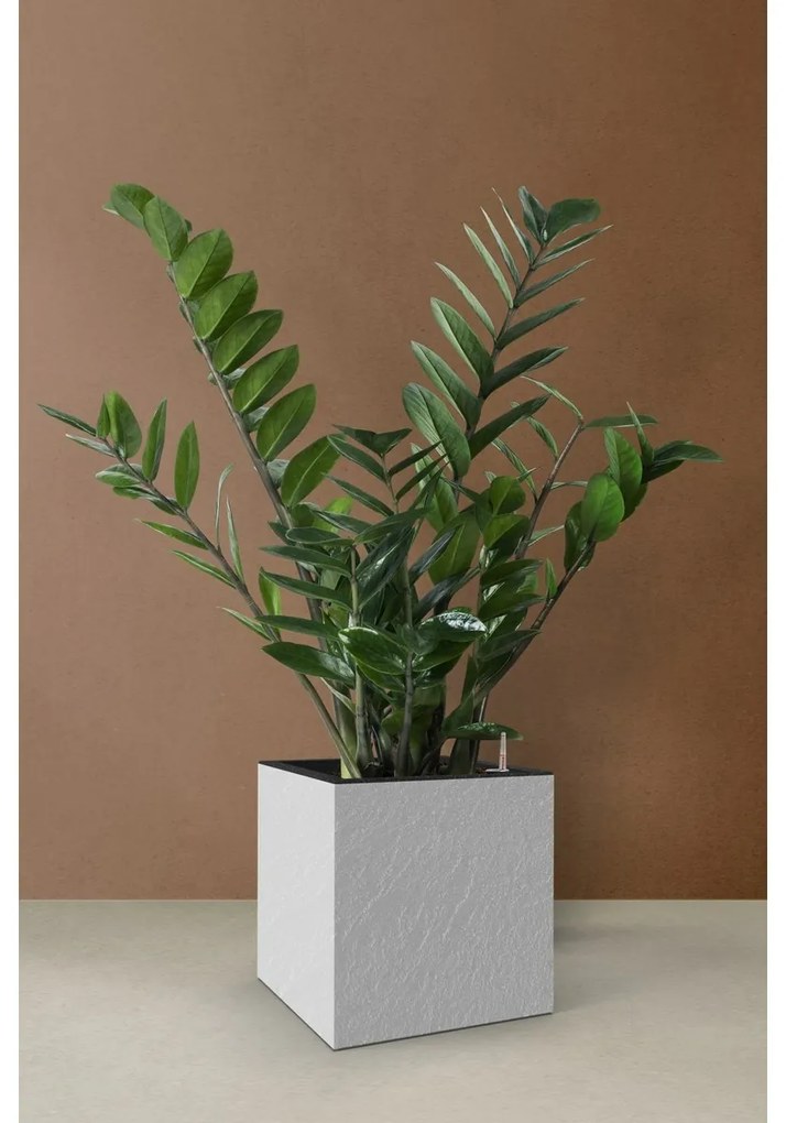 Ghiveci cu auto-udare Flower Lover CubicoStone alb, 27 cm, 27 cm