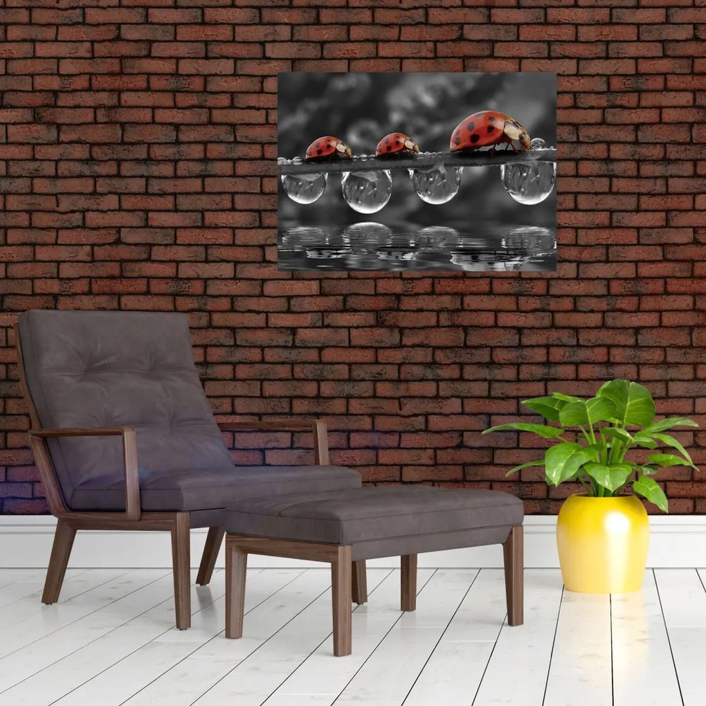 Tablou pe sticlă - Floarea-soarelui, alb și negru (70x50 cm)
