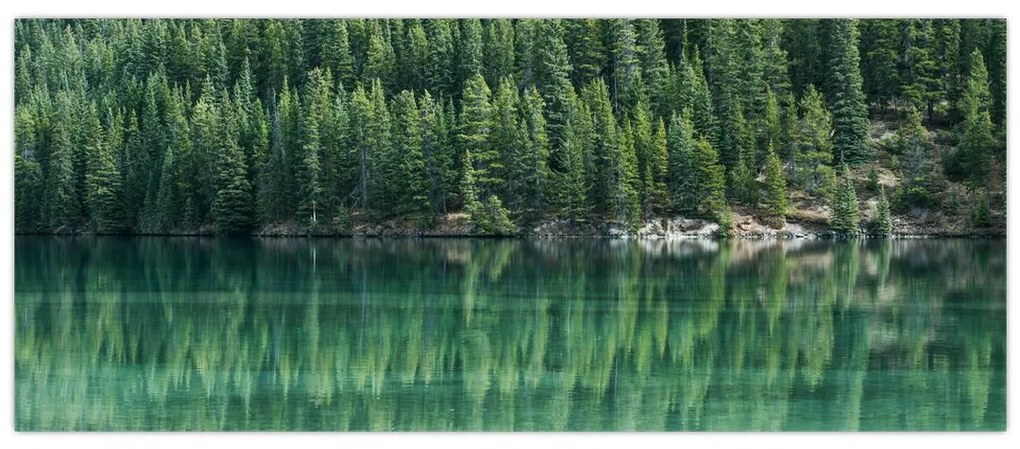 Tablou - Coniferi lângă lac (120x50 cm)