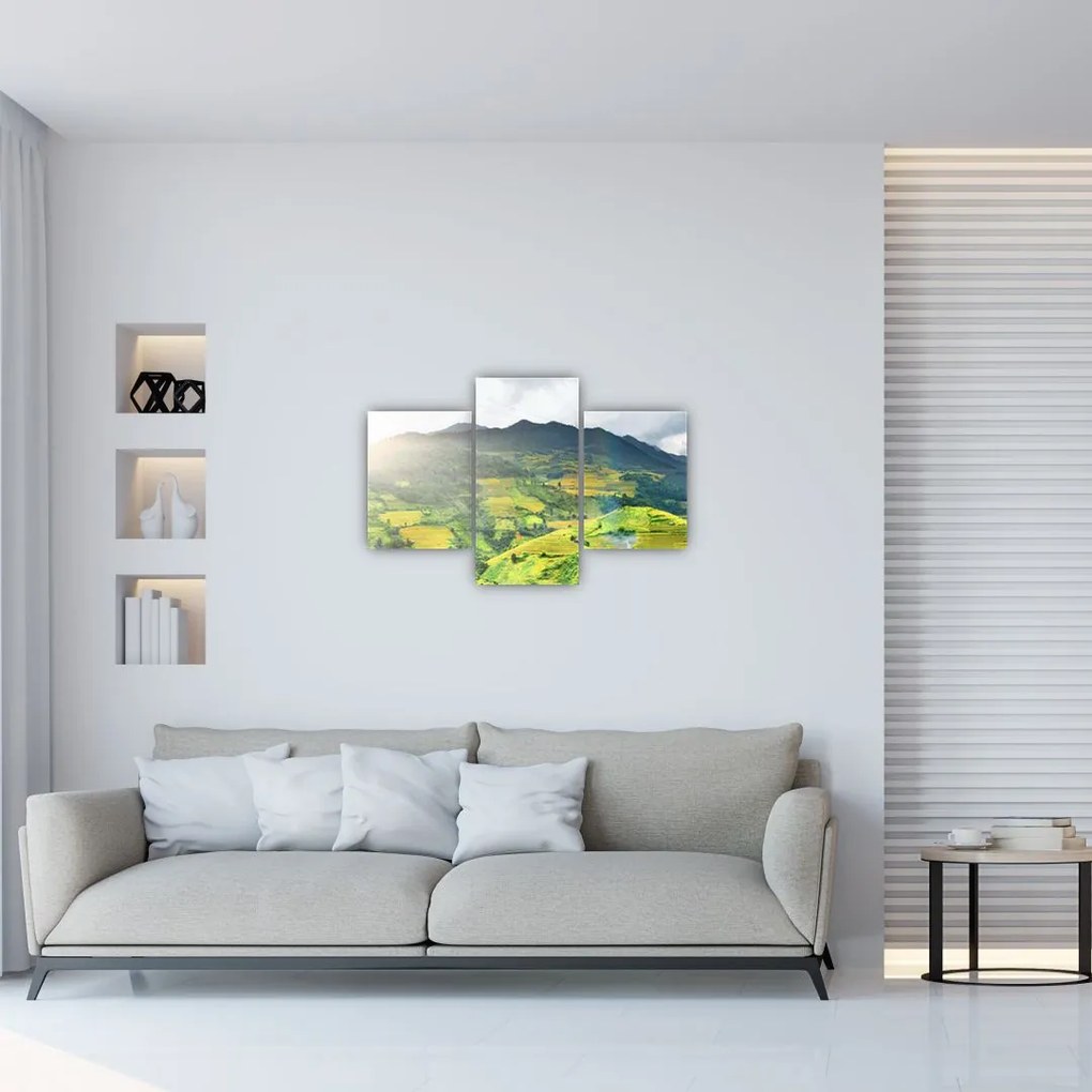 Tablou plantație (90x60 cm)