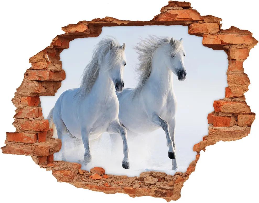 Fototapet 3D gaură în perete Doi cai în zăpadă