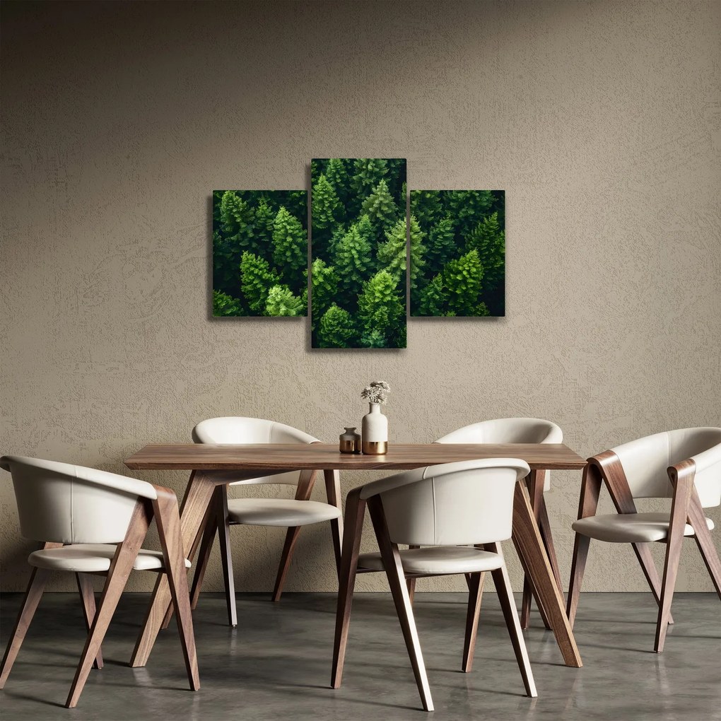 Tablou - Pădure (90x60 cm)