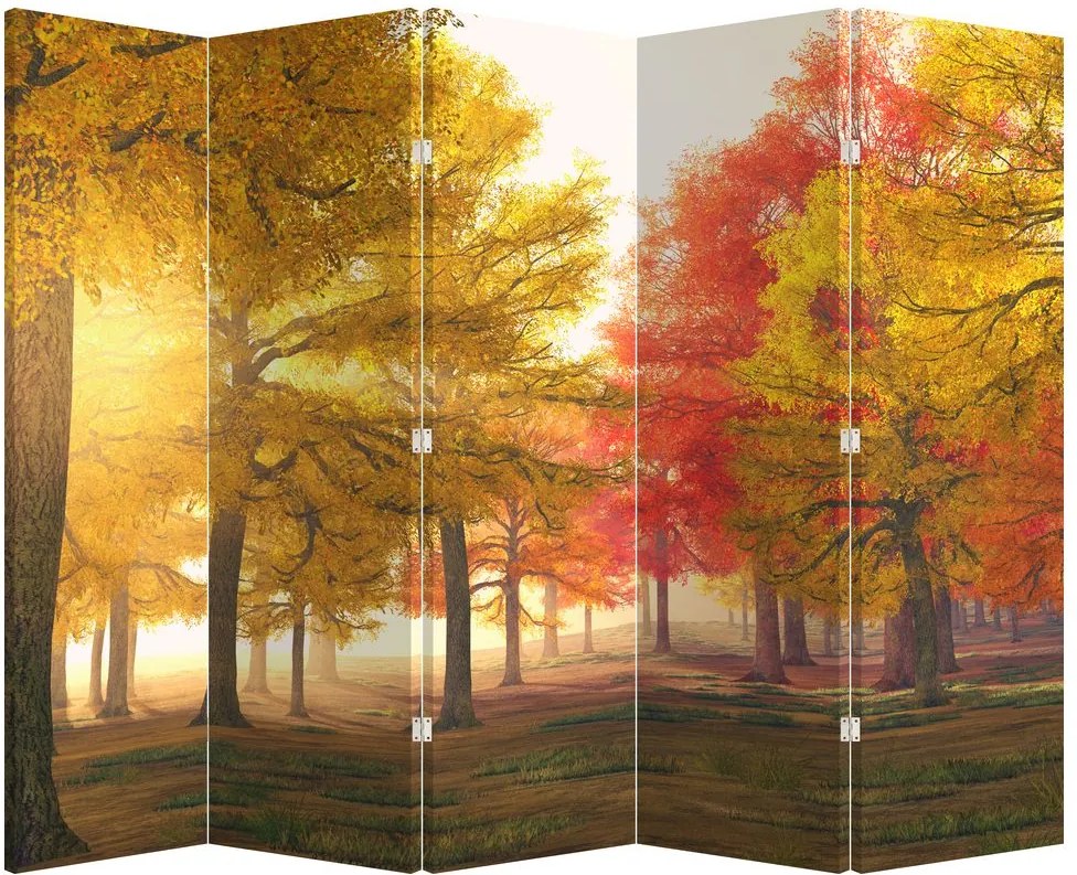 Paravan - Copaci toamna (210x170 cm)