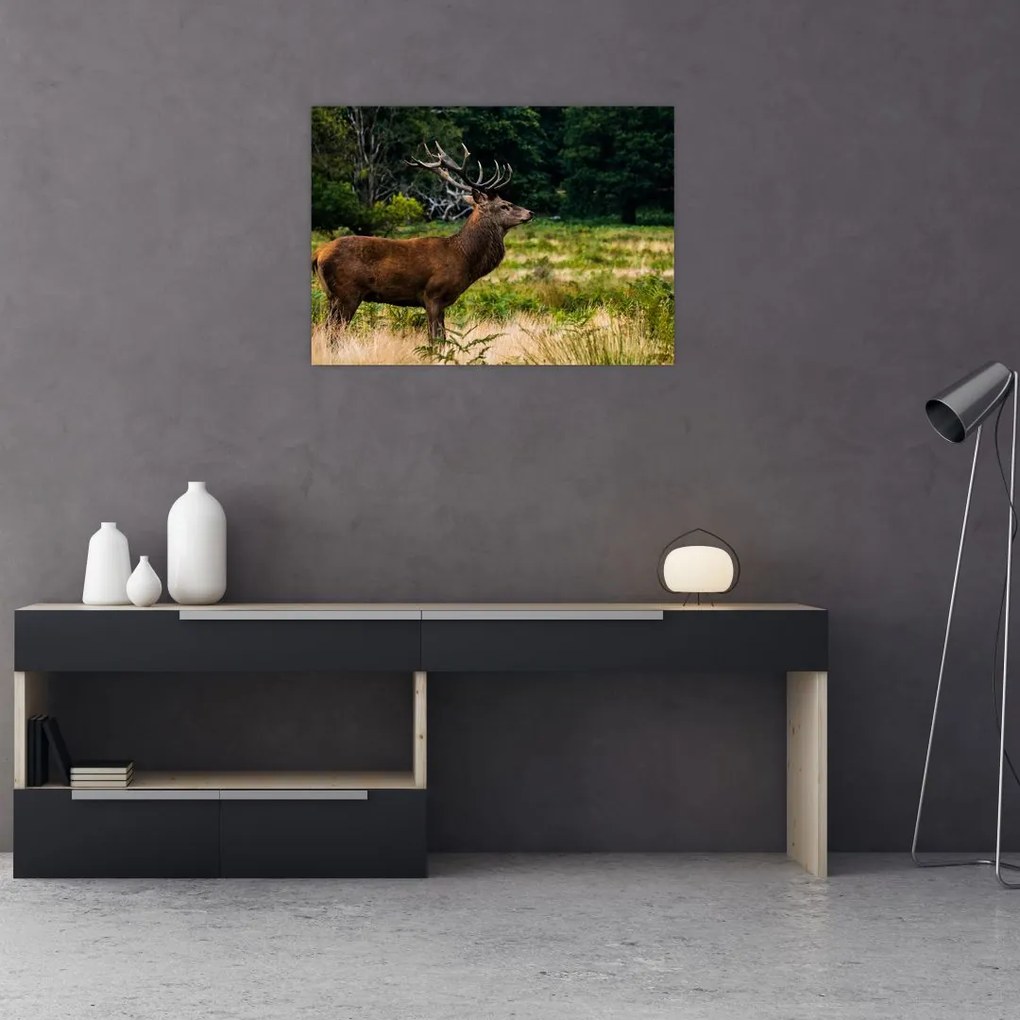 Tablou pe sticlă cu cerb (70x50 cm)