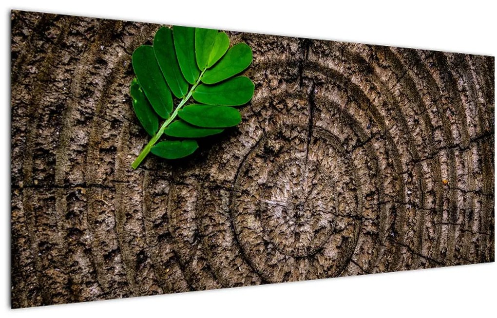 Tablou cu frunză pe trunchi de copac (120x50 cm)
