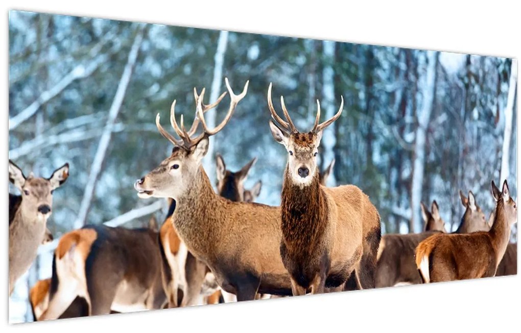 Tablou - Turma de căprioare (120x50 cm)