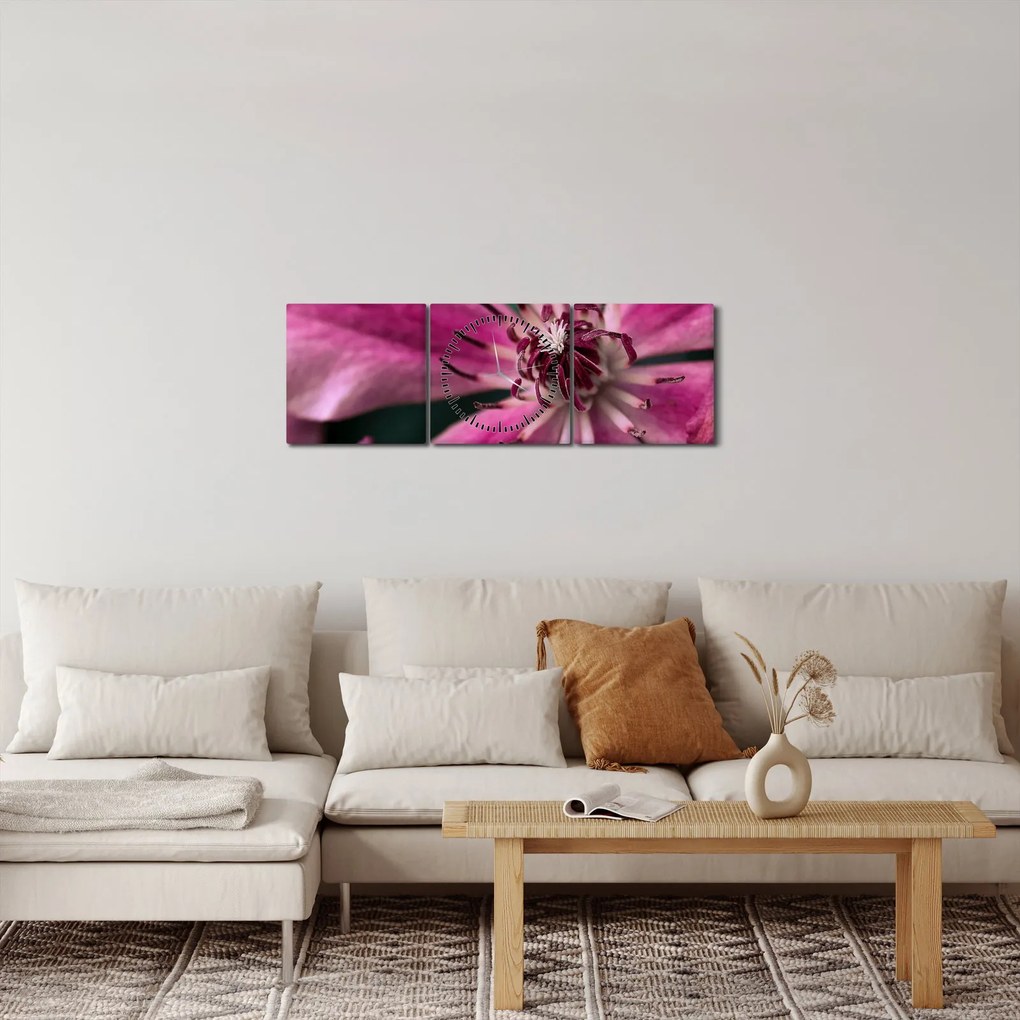 Tablou cu floarea roz de clematis (cu ceas) (90x30 cm)
