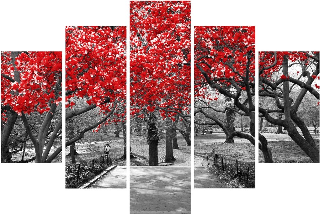 Tablou - Copaci roșii, Central Park, New York (150x105 cm)