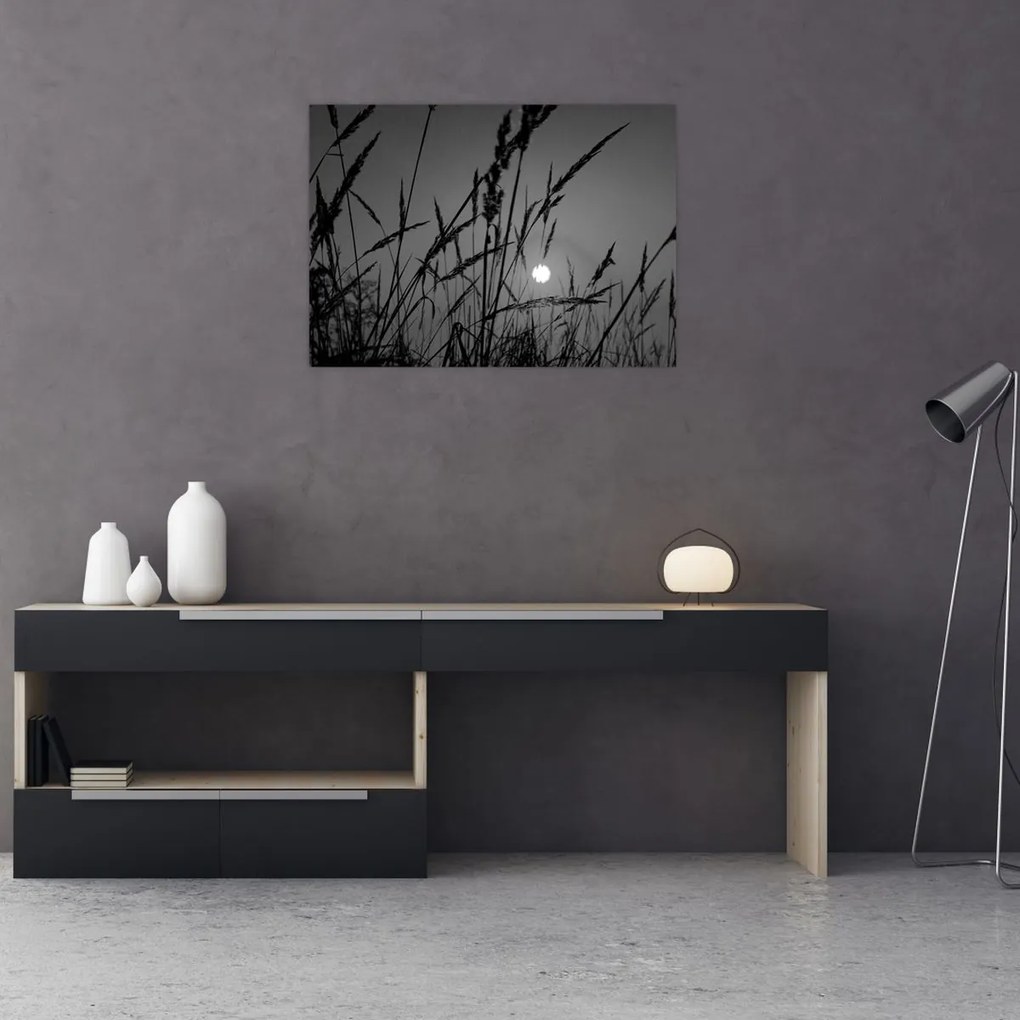 Tablou pe sticlă - Pajiște cu apus de soare (70x50 cm)