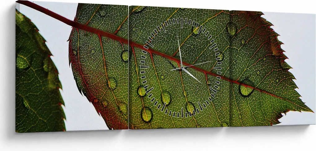 Tablou - Frunze de trandafir (cu ceas) (90x30 cm)