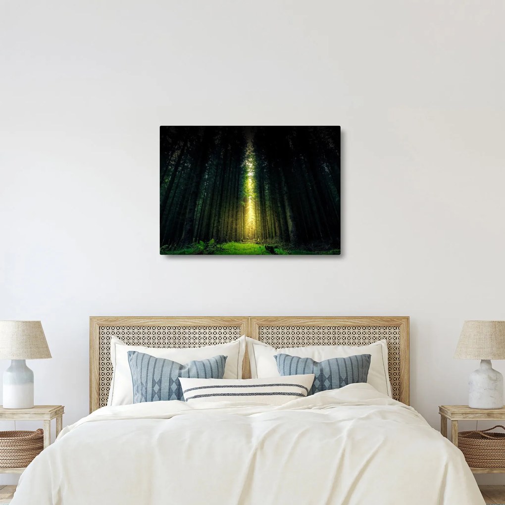 Tablou cu pădurea întunecată (70x50 cm)