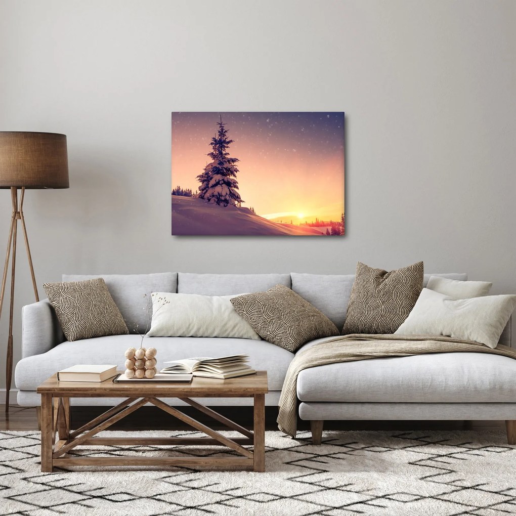 Tablou cu copac înzăpezit pe luncă (70x50 cm)