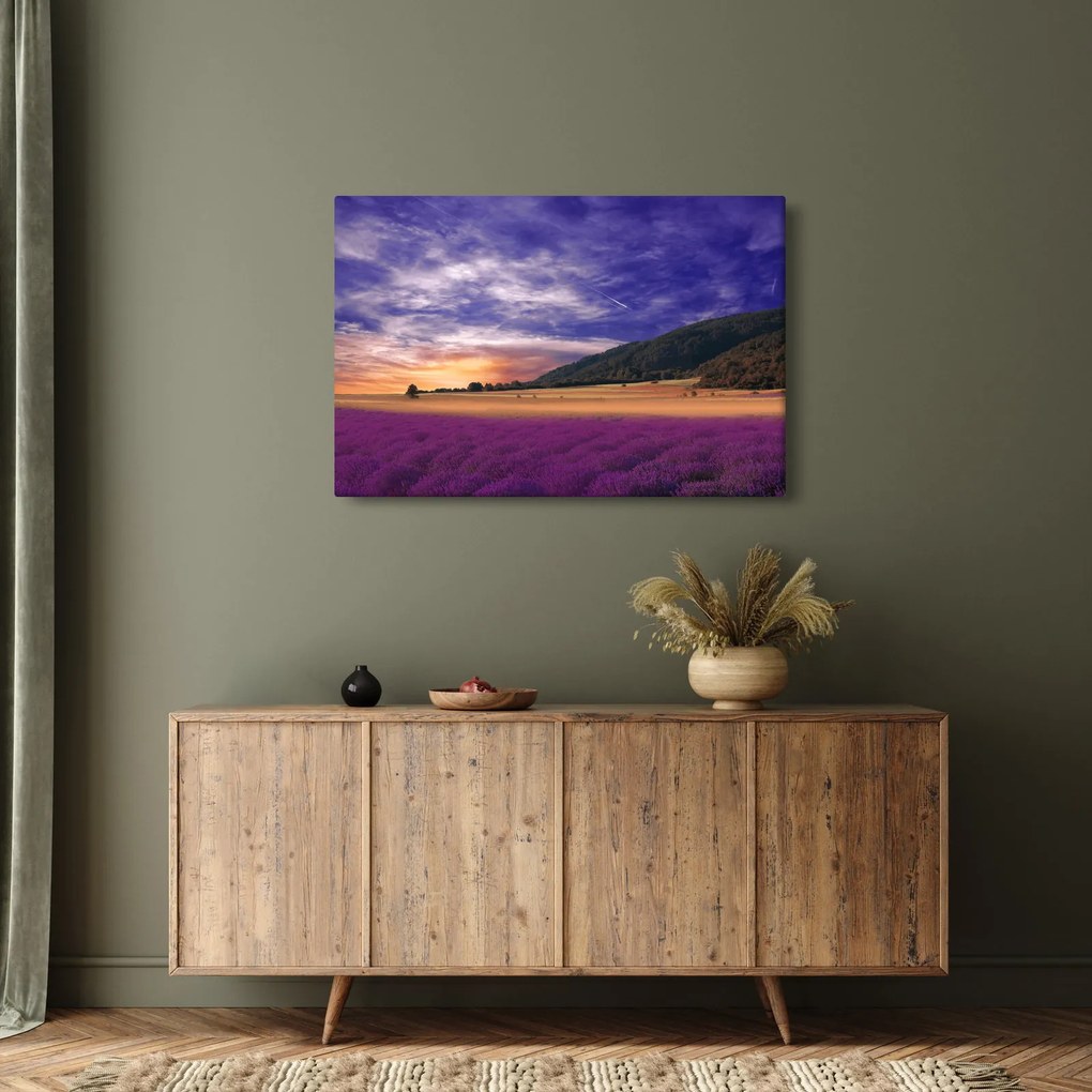 Tablou cu lunca cu lavandă (90x60 cm)