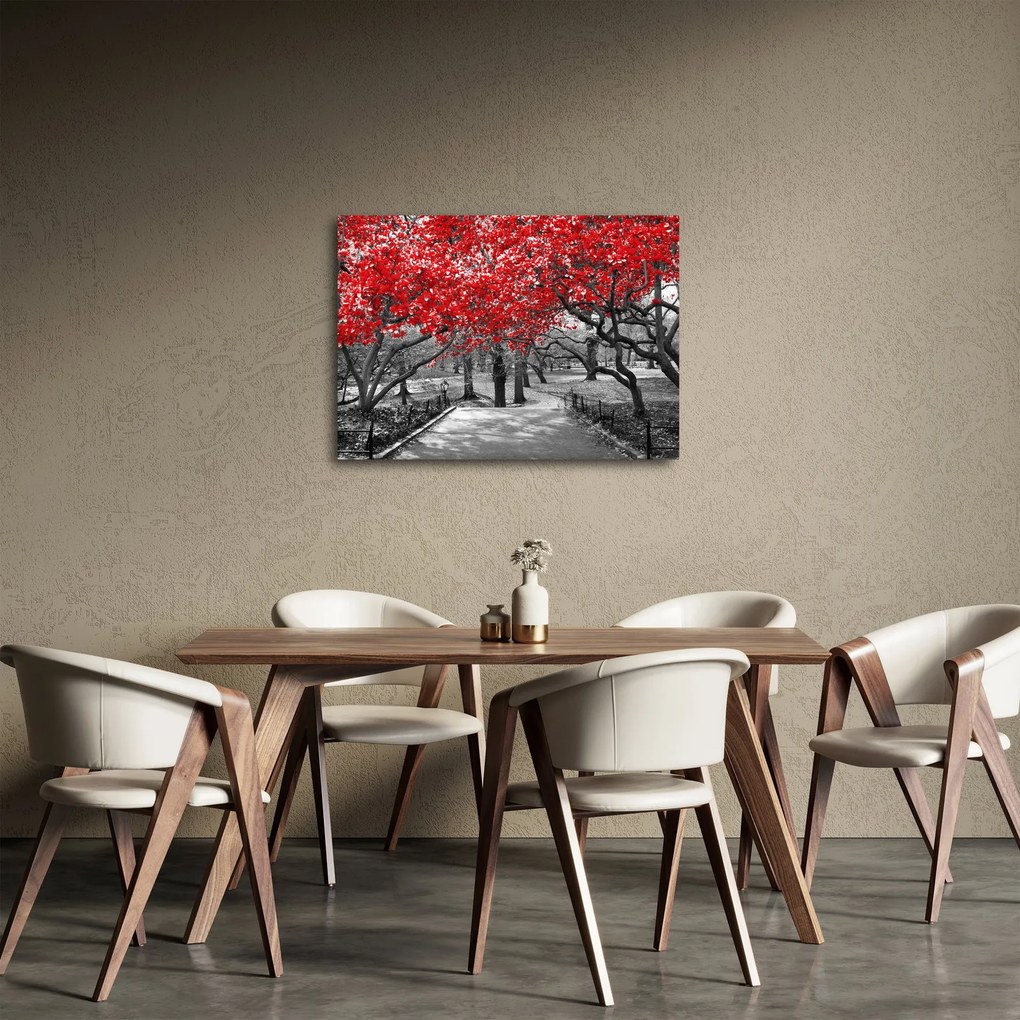 Tablou - Copaci roșii, Central Park, New York (70x50 cm)